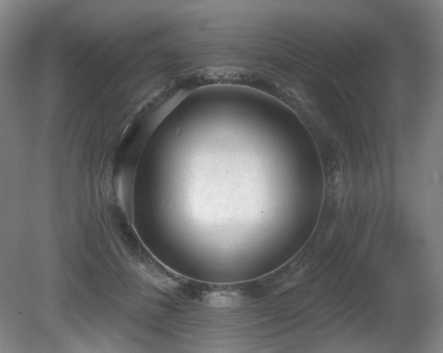 X0000080670508200612151200