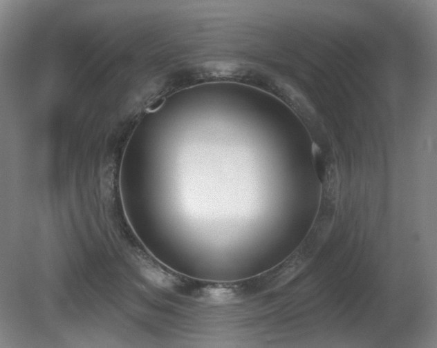 X0000080670509200612151200