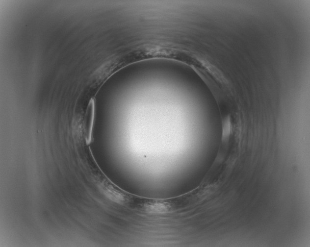X0000080670513200612151200