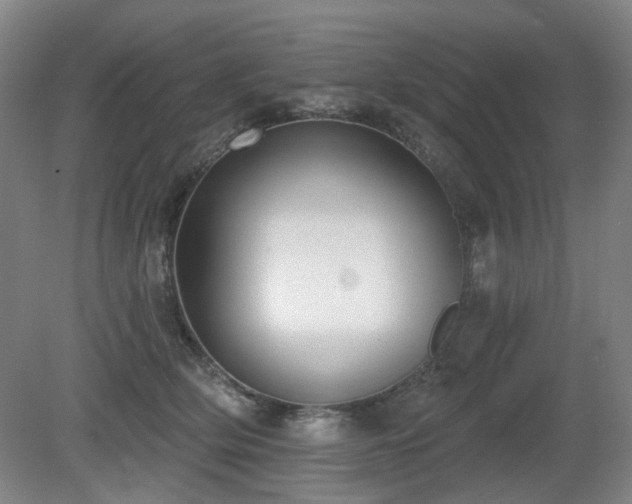 X0000080670514200612151200