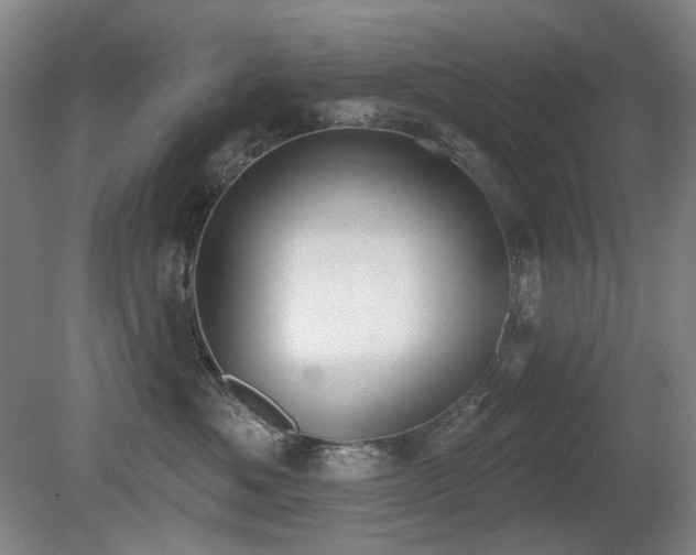 X0000080670525200612151200