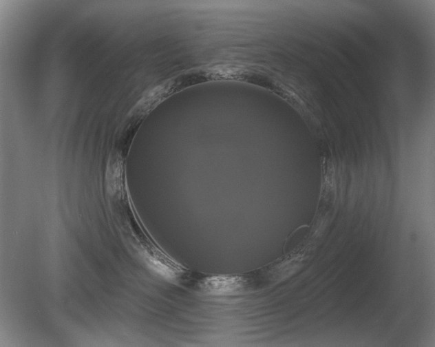X0000080670526200612151200