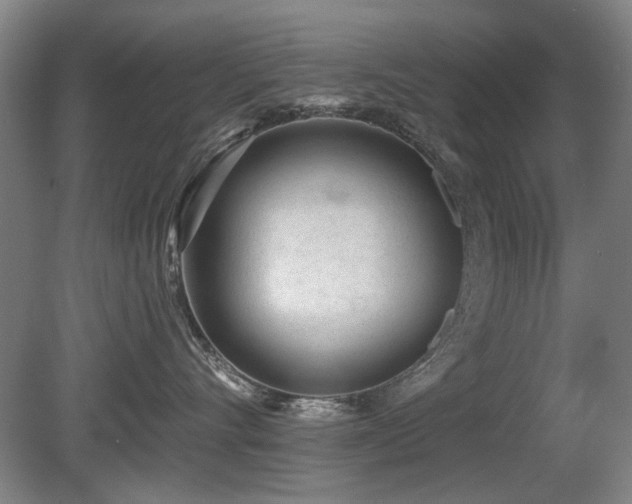 X0000080670528200612151200