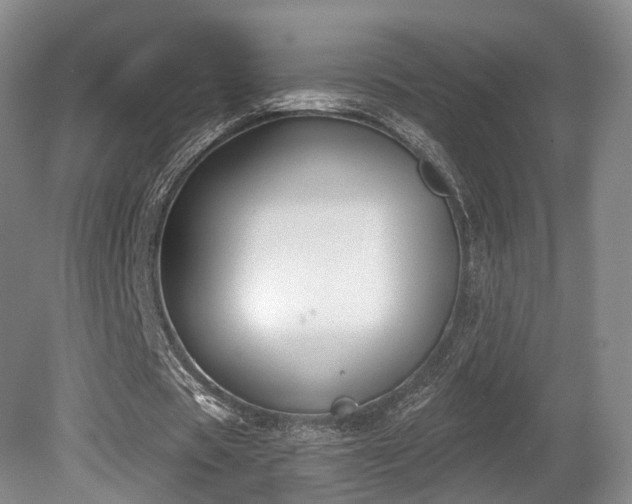 X0000080670529200612151159
