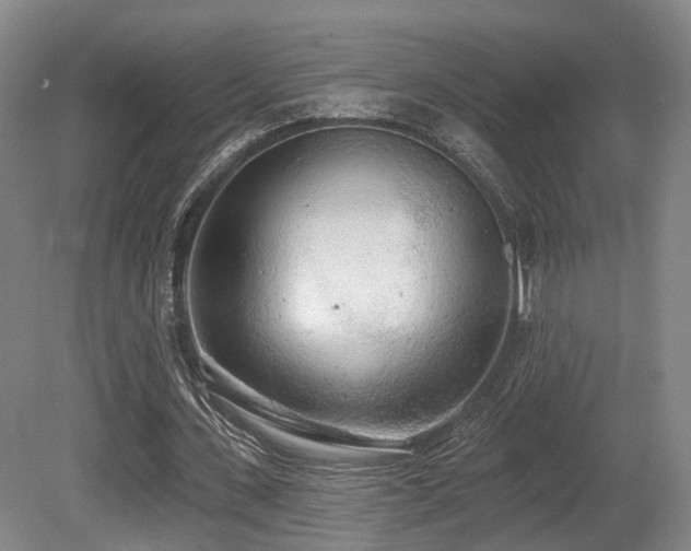 X0000080670531200612151159