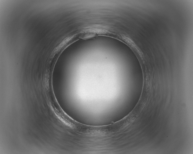 X0000080670533200612151159