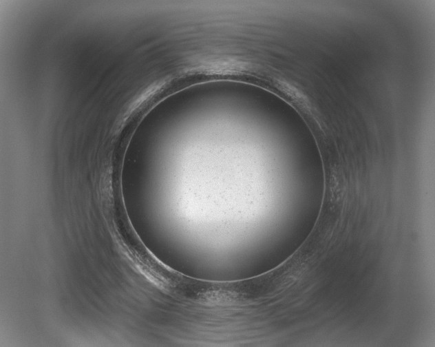 X0000080670535200612151159