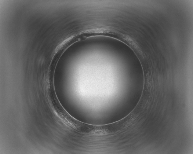 X0000080670536200612151159