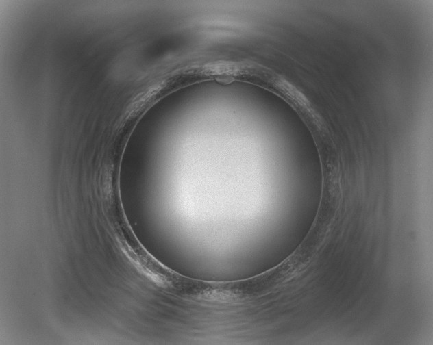 X0000080670537200612151159