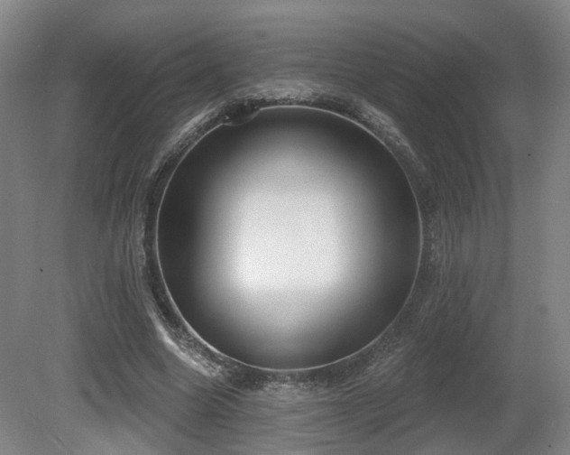 X0000080670538200612151159