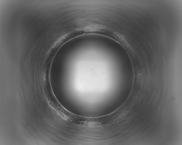 X0000080670539200612151159