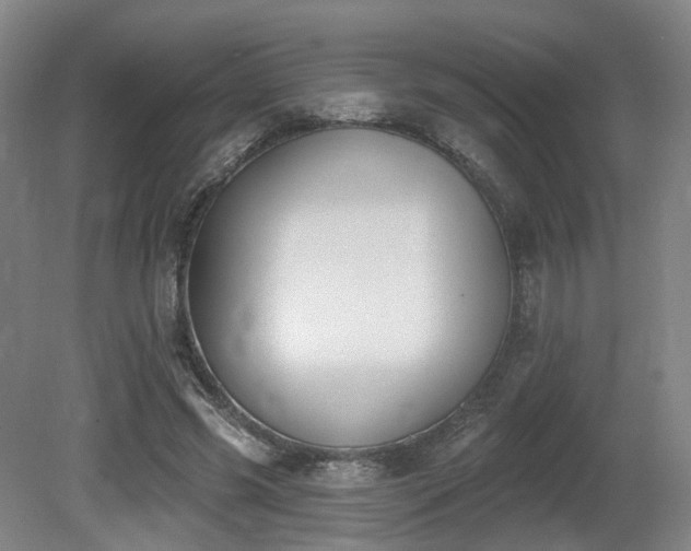X0000080670541200612151159