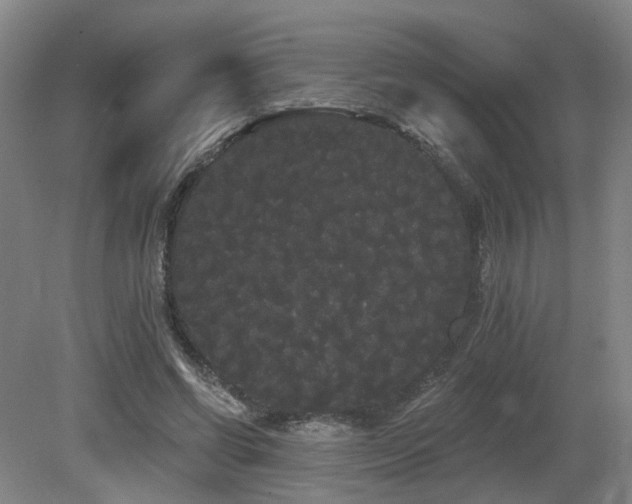 X0000080670542200612151159