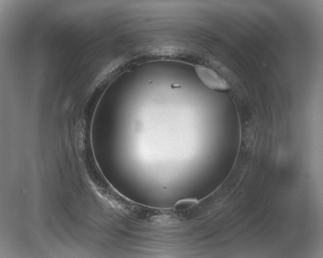 X0000080670544200612151159