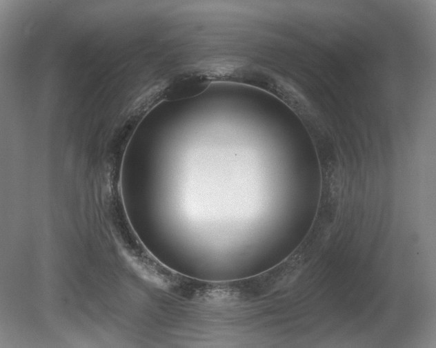 X0000080670546200612151159