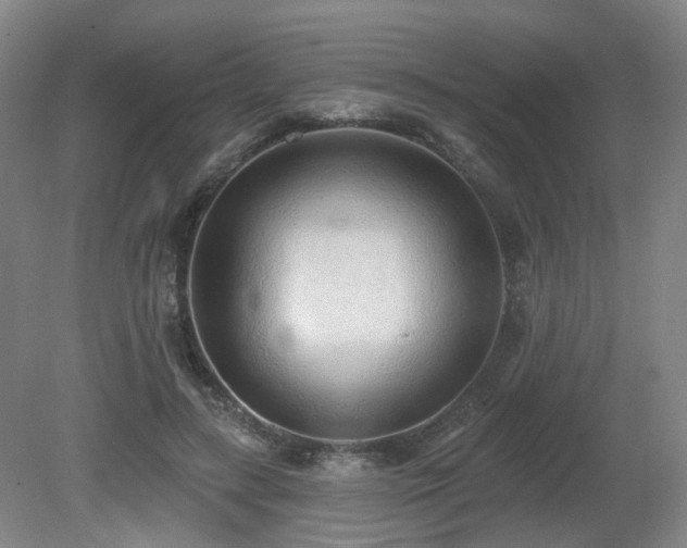 X0000080670547200612151159