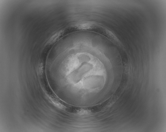 X0000080670549200612151159