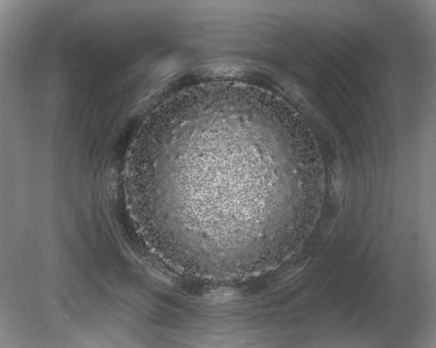 X0000080670551200612151159