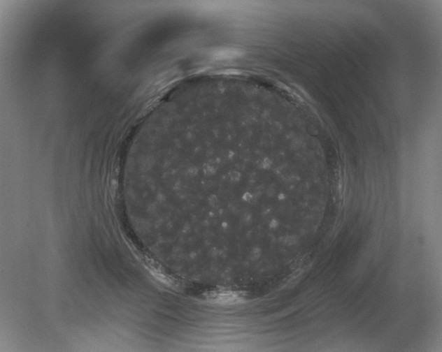 X0000080670553200612151159