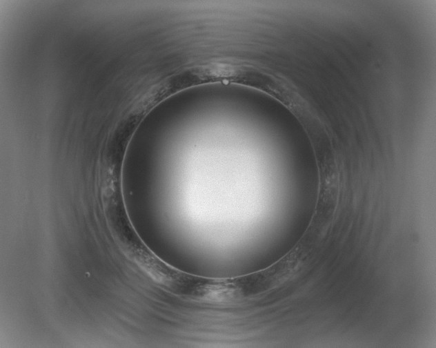 X0000080670555200612151159