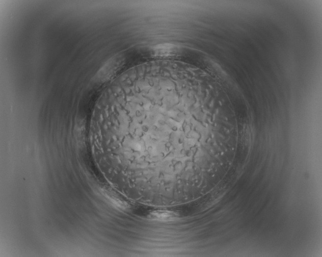 X0000080670557200612151200