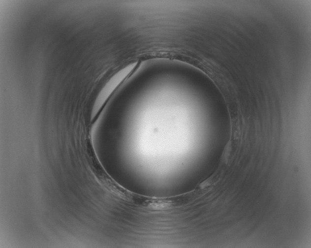 X0000080670560200612151200
