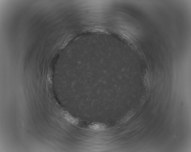 X0000080670561200612151200