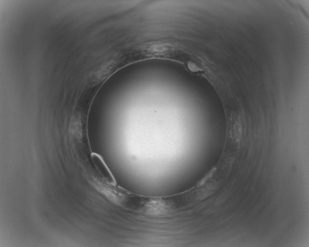 X0000080670562200612151200