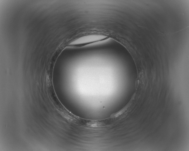 X0000080670564200612151200