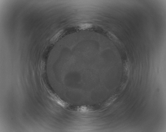 X0000080670565200612151200