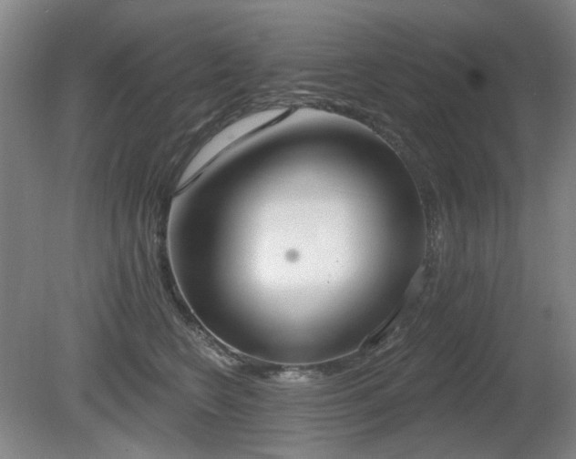 X0000080670566200612151200