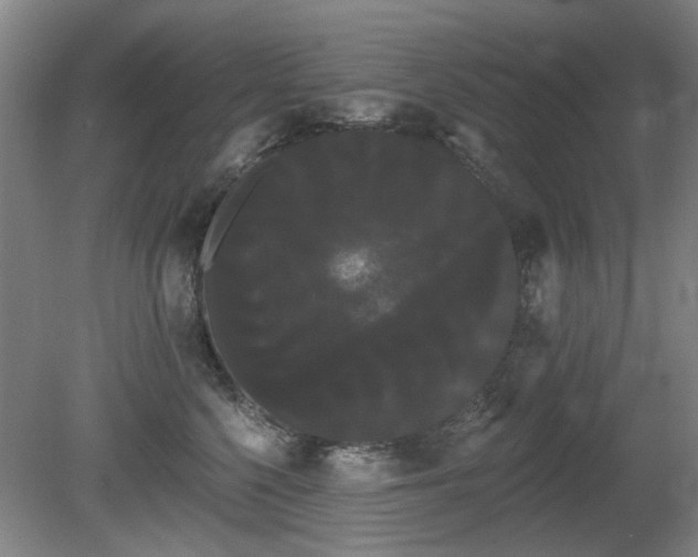 X0000080670568200612151200