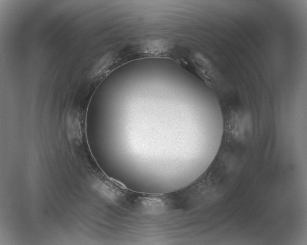 X0000080670572200612151200