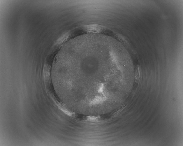 X0000080670573200612151200