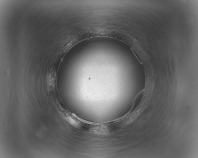 X0000080670576200612151200