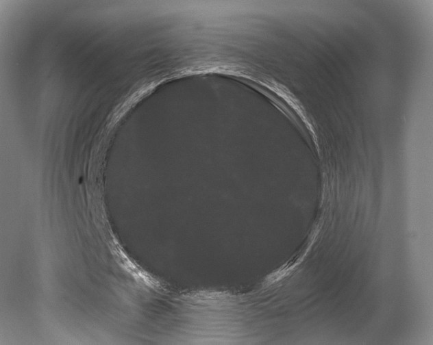 X0000080670577200612151159