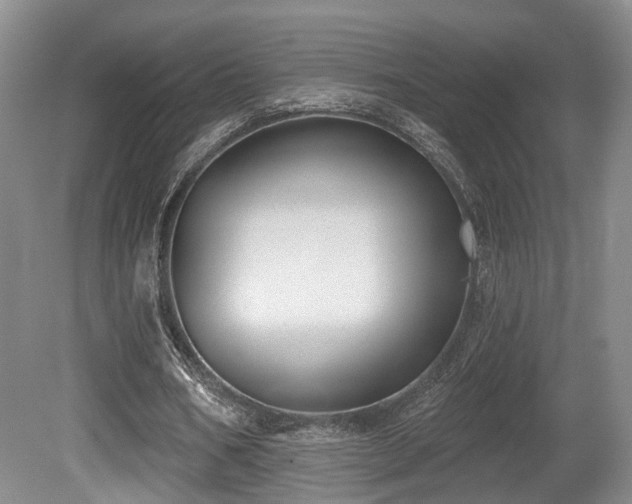 X0000080670578200612151159