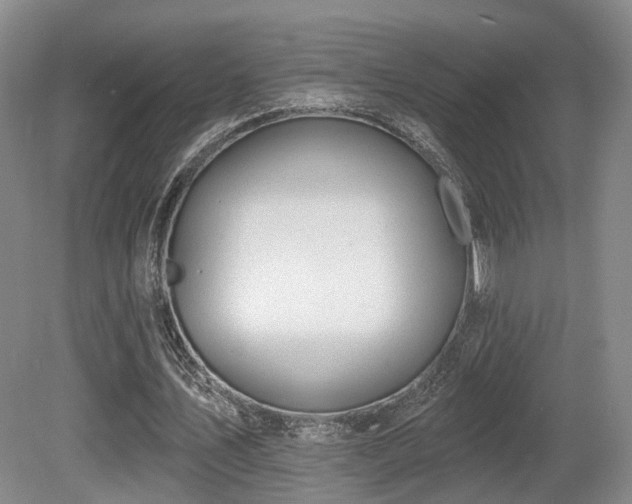 X0000080670579200612151159