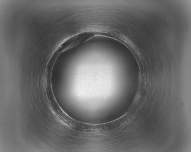 X0000080670580200612151159