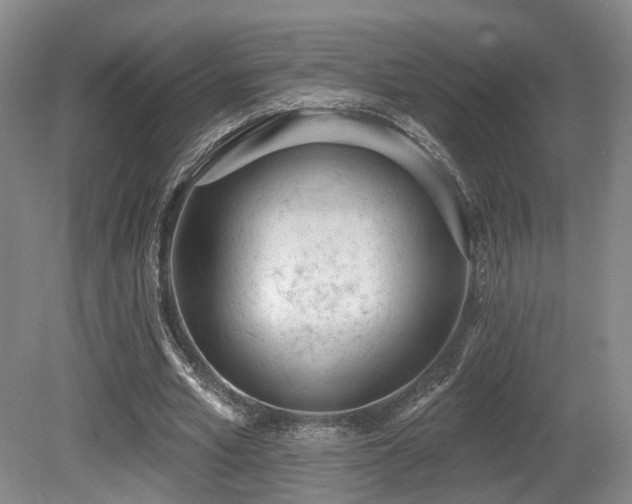 X0000080670581200612151159