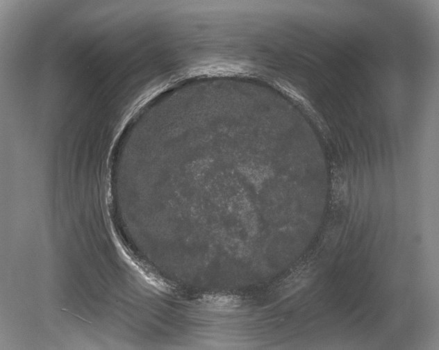 X0000080670582200612151159