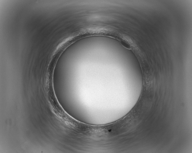 X0000080670583200612151159