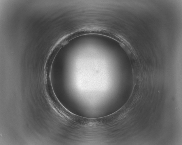 X0000080670584200612151159