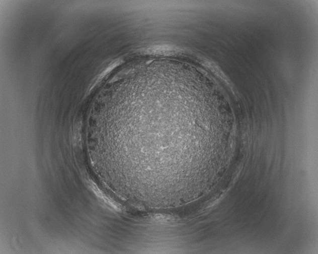 X0000080670585200612151159