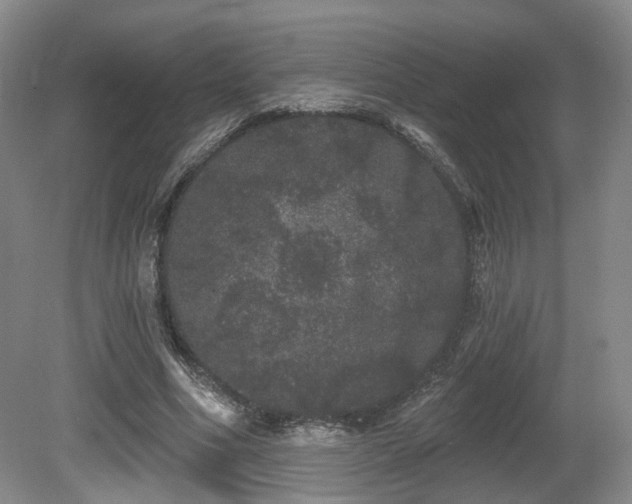 X0000080670586200612151159