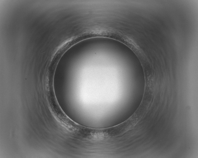 X0000080670587200612151159