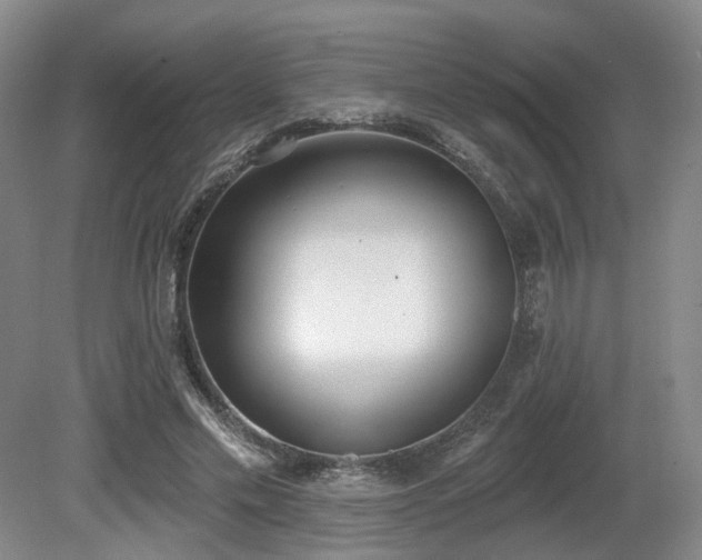 X0000080670589200612151159