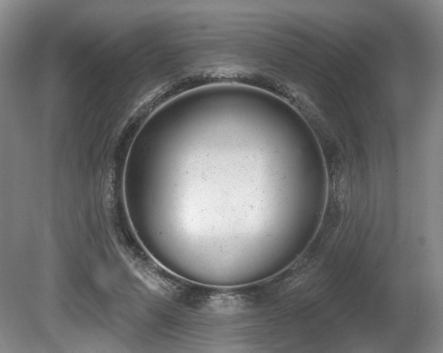 X0000080670591200612151159