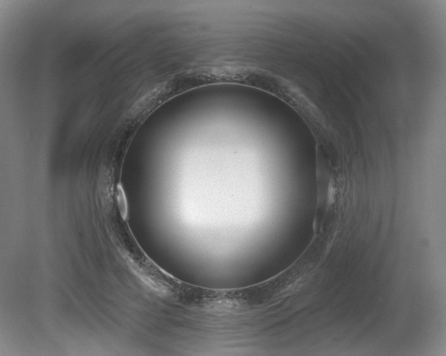 X0000080670593200612151159