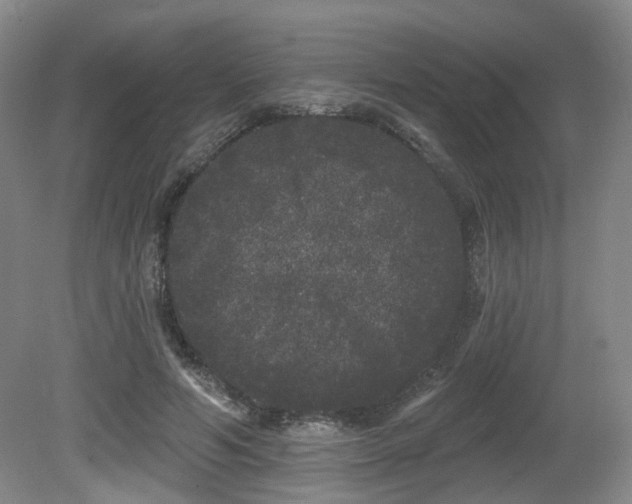 X0000080670594200612151159